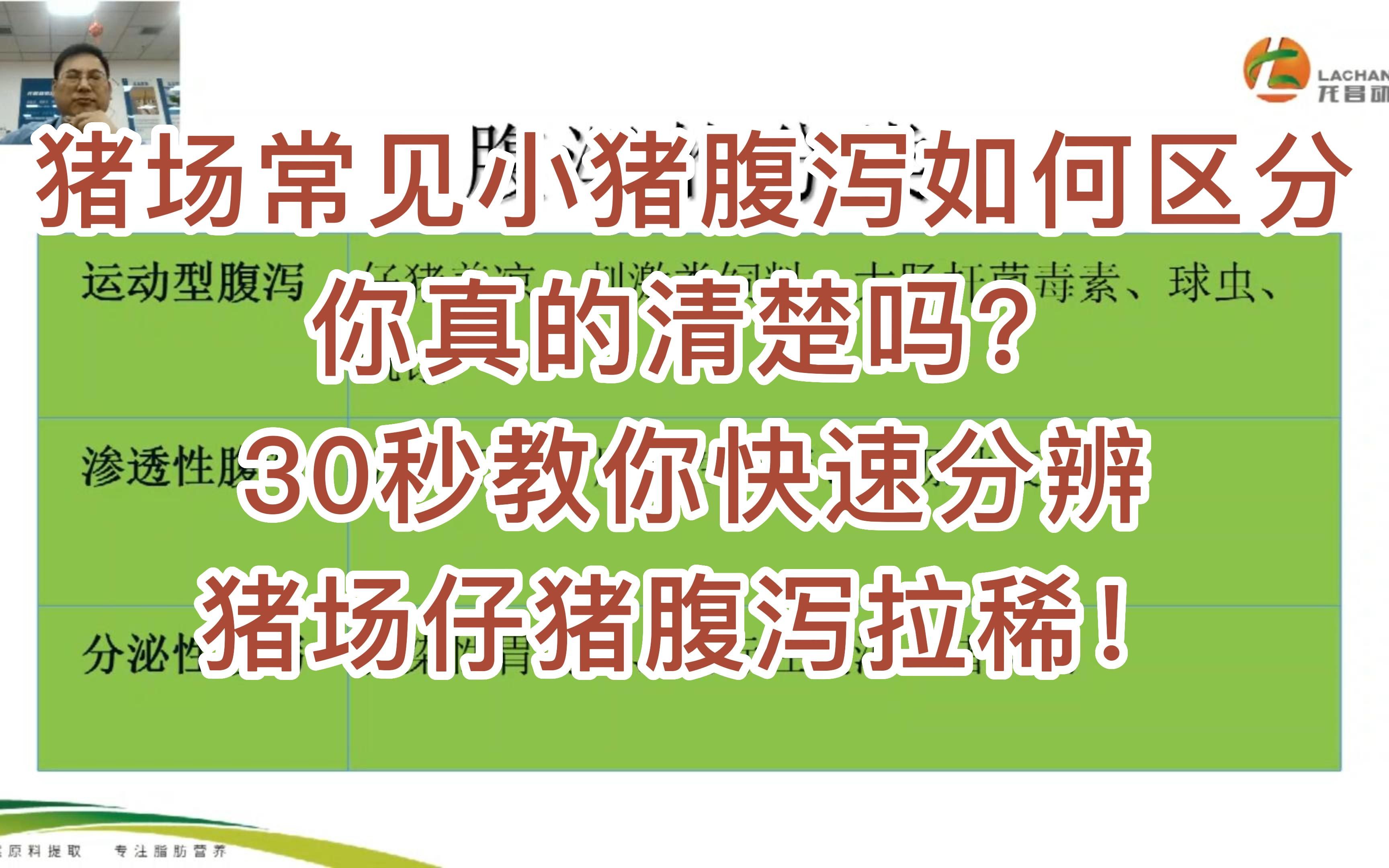 猪场常见小猪腹泻如何区分你真的清楚吗?30秒教你快速分辨猪场仔猪腹泻拉稀 #养猪 #小猪腹泻拉稀妙招 #小猪拉稀 #猪病 #养猪技术 #养猪知识 #科学养殖 ...