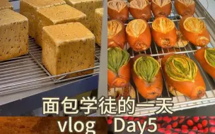 Download Video: 面包店学徒的一天