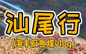 Download Video: 汕尾行之海丰麻鱼煤vlog