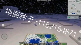 Mc种子分享 雪地里的村庄 雪屋 地牢๑乛v乛๑ 基岩版 哔哩哔哩 つロ干杯 Bilibili