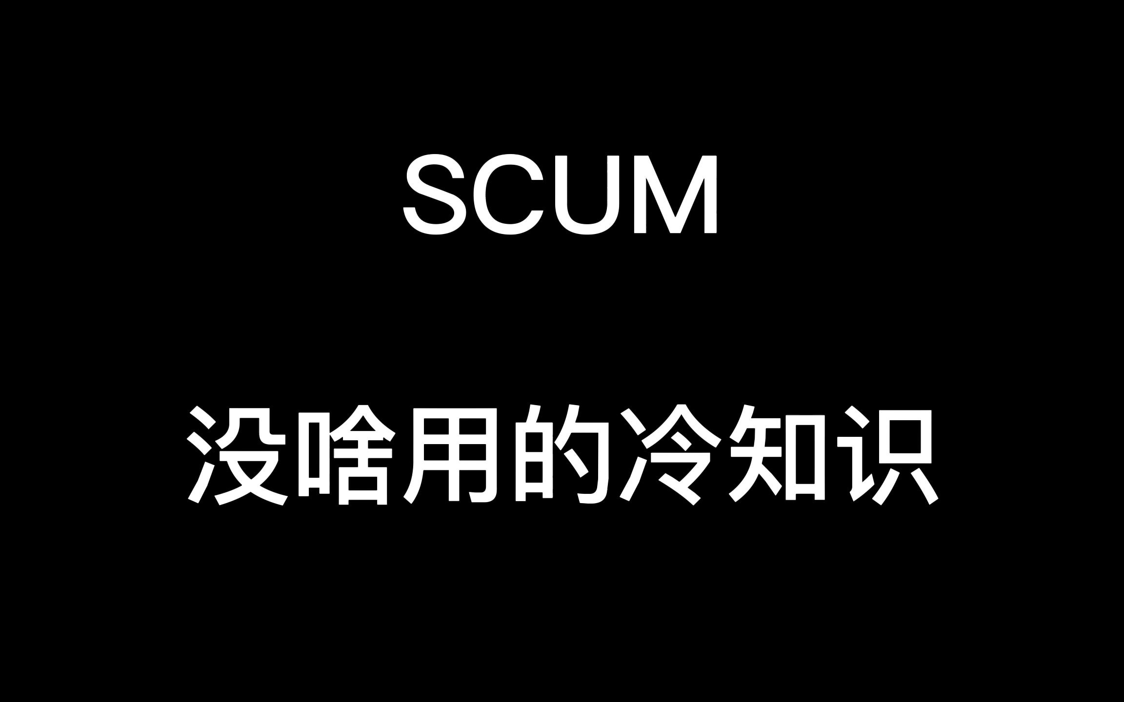 [图]SCUM 没啥用的冷知识