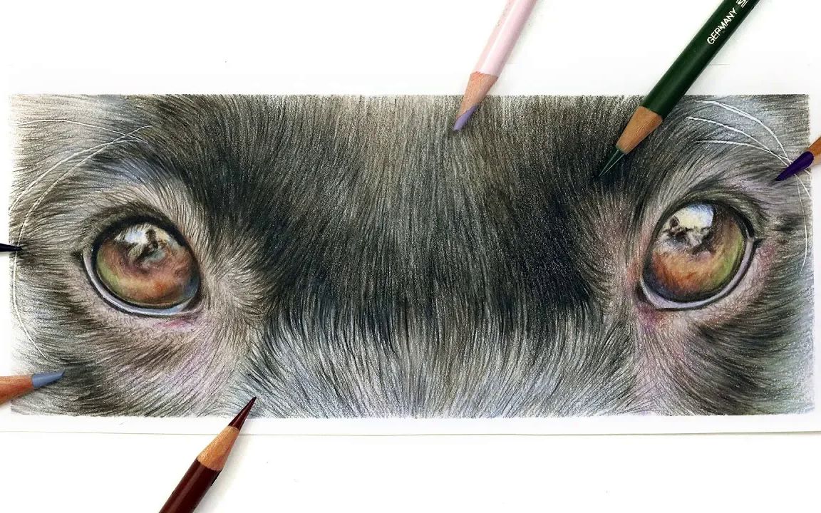 【amie howard art】09_如何画黑狗的眼睛