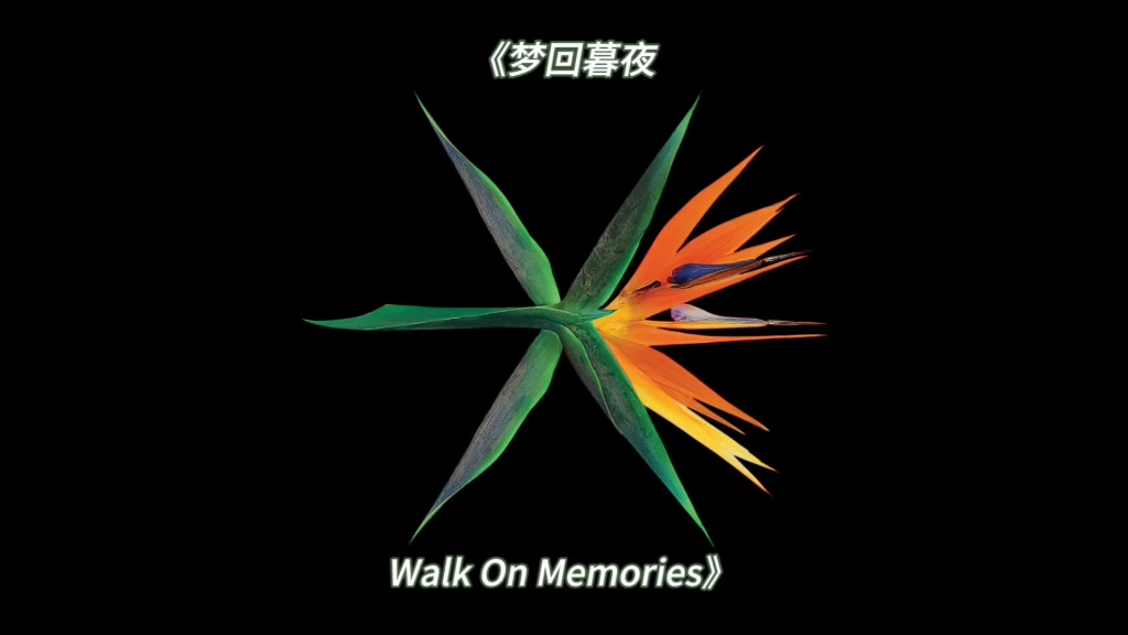 [图]【EXO】日推：Walk On Memories（Chinese Ver）