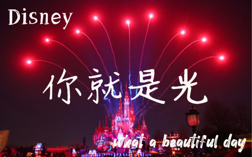 【上海迪士尼】奇梦之光幻影秀—你就是光.