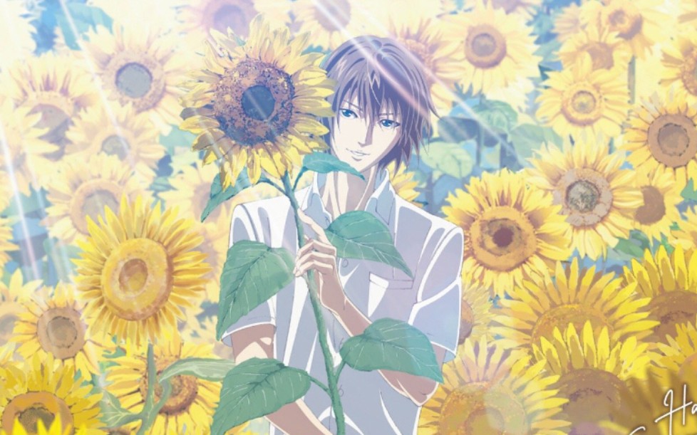 新网球王子rb不二周助欢乐夏日情人节