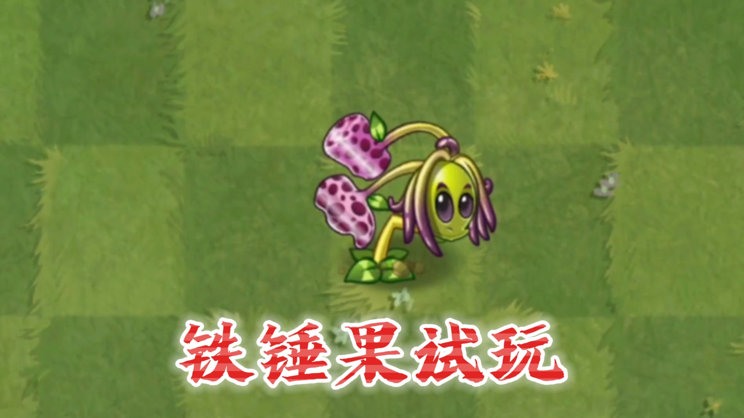 pvz2:新植物铁锤果试玩!