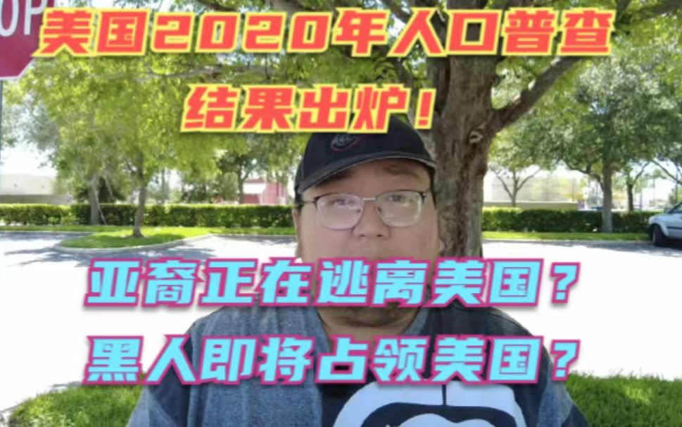 美国2020年人口普查结果出炉!华人正在加速逃离?黑人正在占领美国?结果让人大吃一惊!哔哩哔哩bilibili