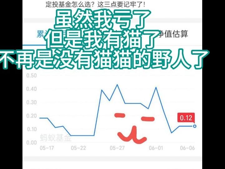 虽然我亏了,但是我有猫了.不再是没有猫猫的野人了哔哩哔哩bilibili