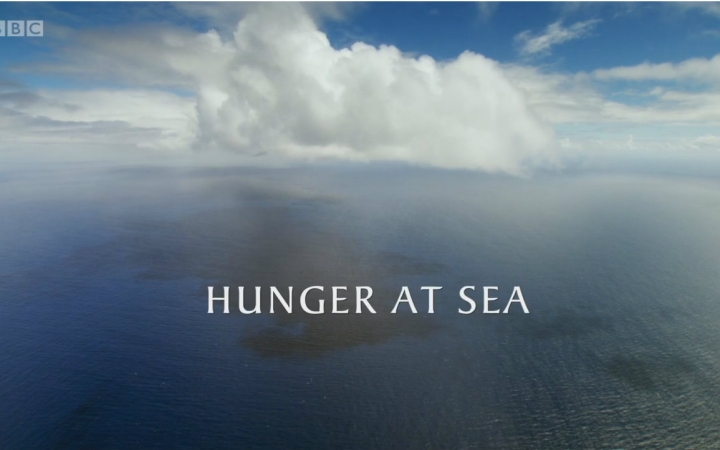 [图]纪录片.BBC.捕猎：海中猎手.The.Hunt.S01E04.Hunger.at.Sea.Oceans.片头[英字]