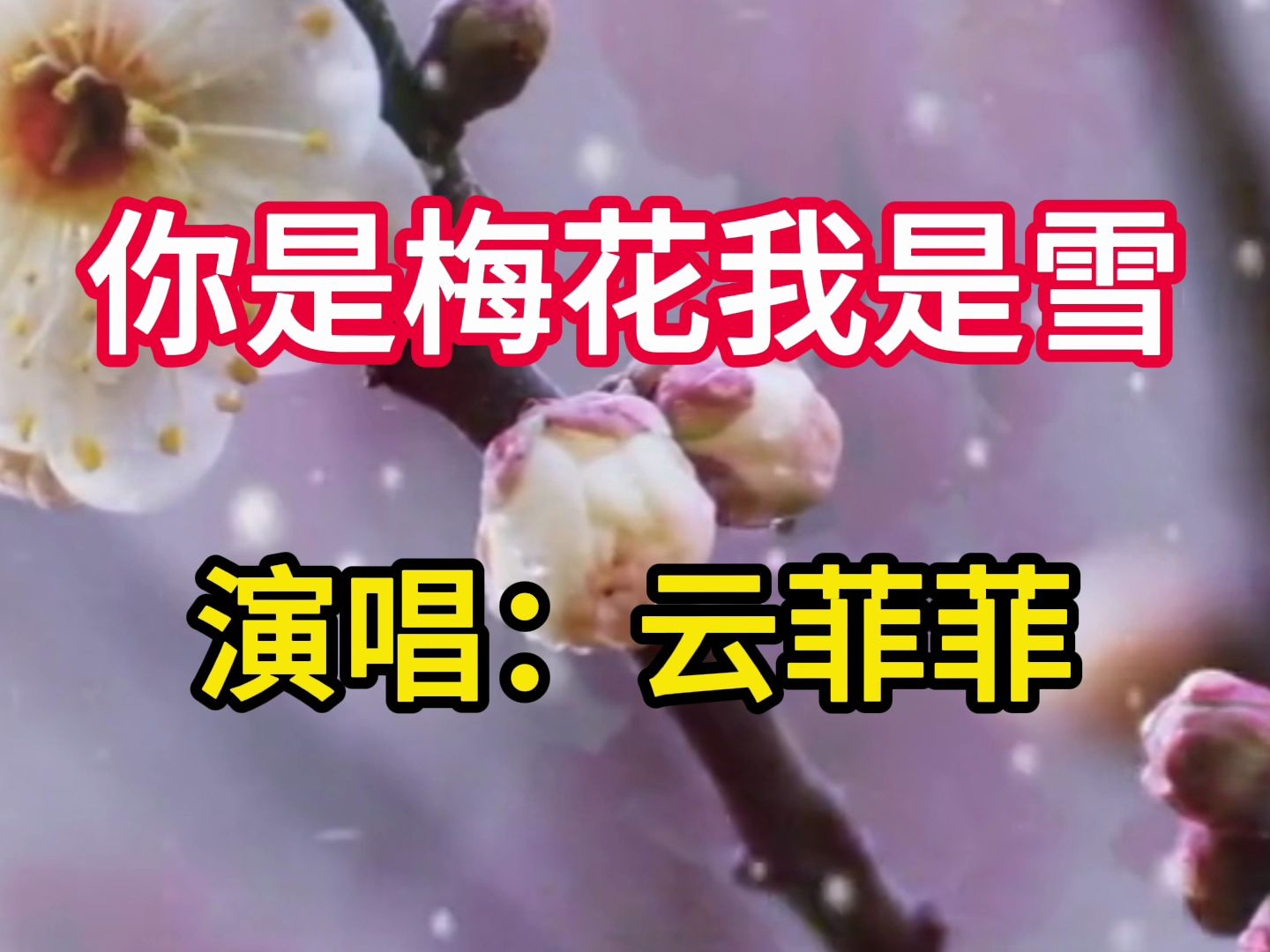 [图]云菲菲演唱《你是梅花我是雪》，悠扬动听的歌声，醉人心扉