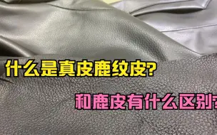 下载视频: 真皮中的鹿纹皮是什么皮，和真鹿皮有什么区别？