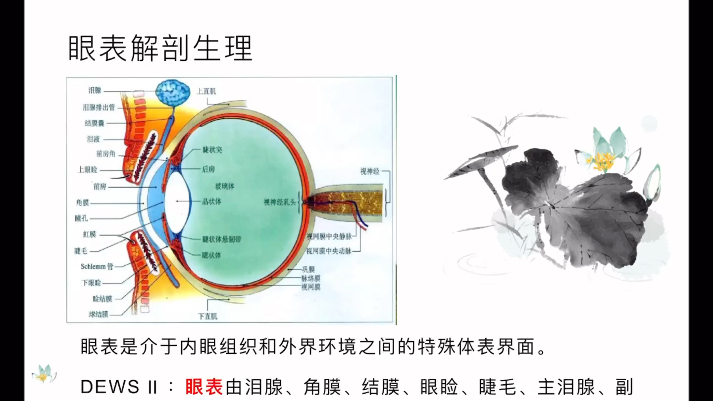 干眼的临床诊疗(一)干眼概述哔哩哔哩bilibili