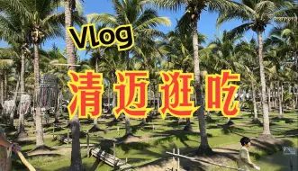 Descargar video: 【清迈旅游Vlog 上】大家一起旅游真的是太好玩了