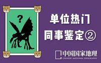 投稿封面