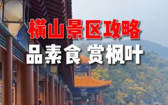 【厨师探店】横山景区旅游攻略来了,品素食自助,欣赏枫叶正当时,快约上家人朋友来打卡吧哔哩哔哩bilibili