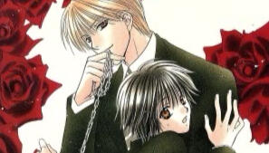 ☆レア☆ LD らんま1/2 熱闘歌合戦 Amazon.co.jp: らんま1/2熱闘歌合戦: ミュージック
