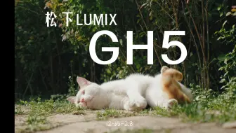 2000元GH5片门全开的质感！