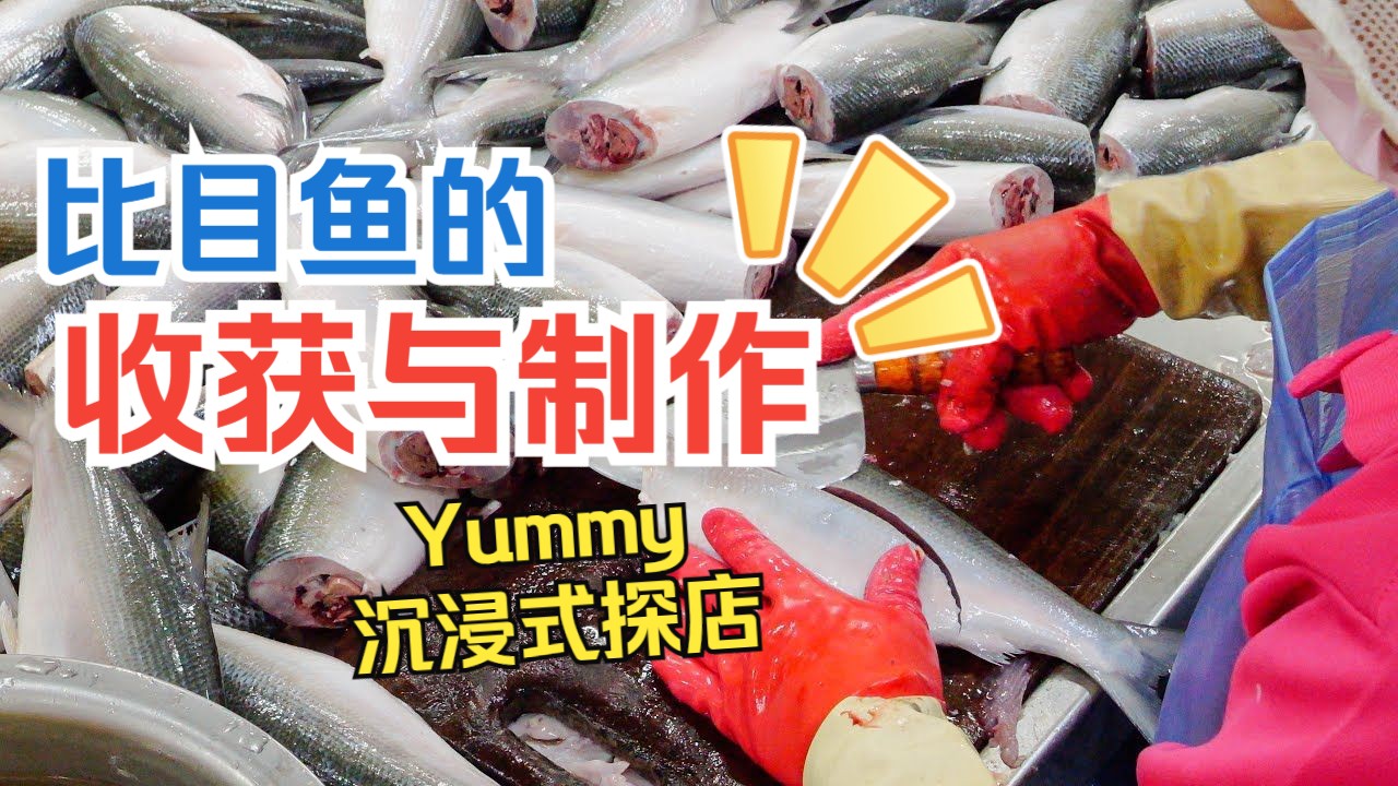 比目鱼的收获到餐桌