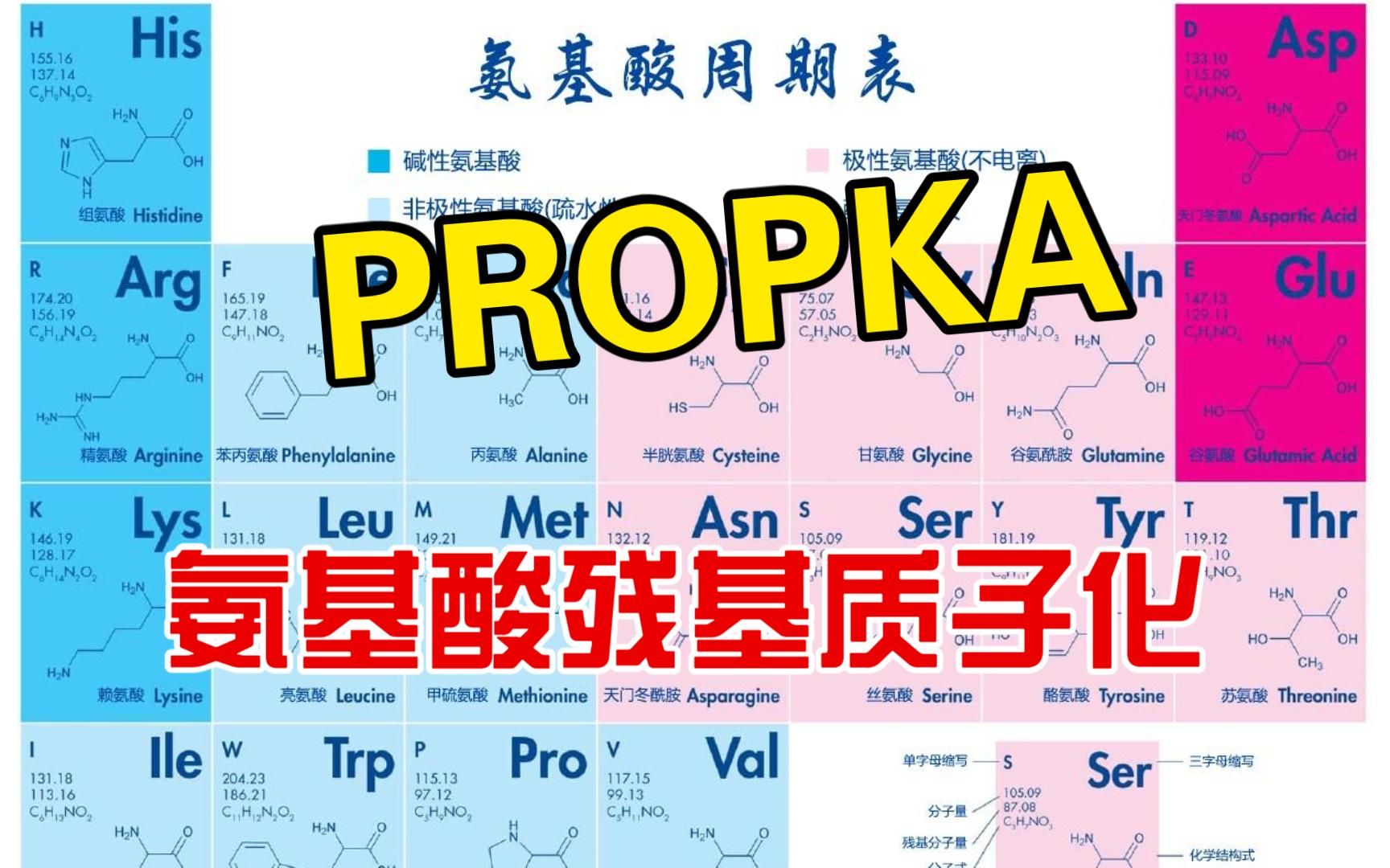 【PROPKA】氨基酸残基质子化的判断|查看.pka文件|判断ASP与GLU酸性残基质子化|判断HIS质子化|综合判断质子化哔哩哔哩bilibili