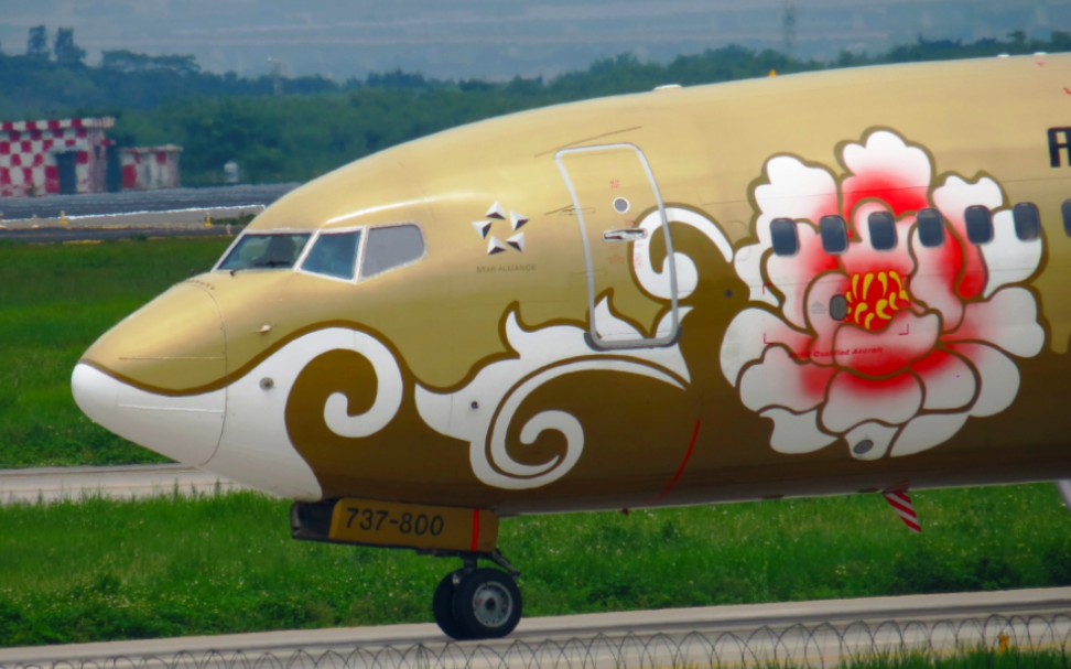 金牡丹‖国航彩绘飞机