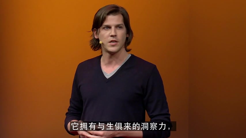 【数学文化】TED演讲:历史中的数学(JeanBaptiste Michel:The mathematics of history)哔哩哔哩bilibili