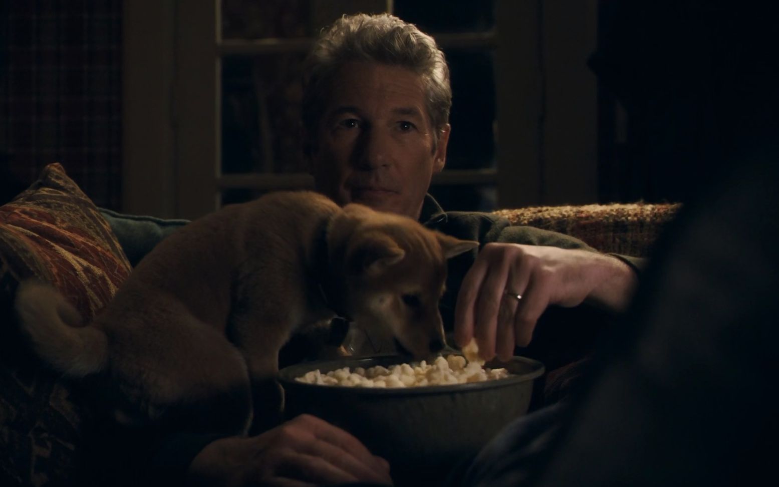 忠犬八公的故事 第三章 八公来历