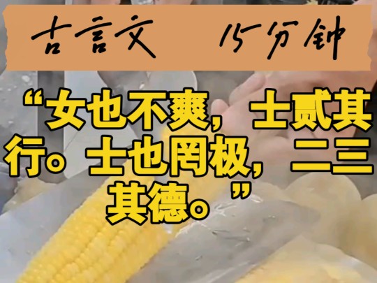 “女也不爽,士贰其行.士也罔极,二三其德.”哔哩哔哩bilibili