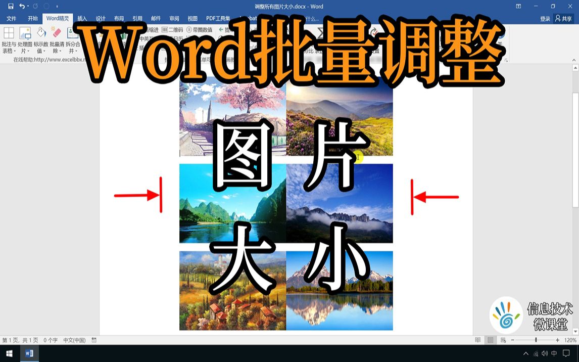 使用两种方法,调整Word文档里所有图片大小哔哩哔哩bilibili
