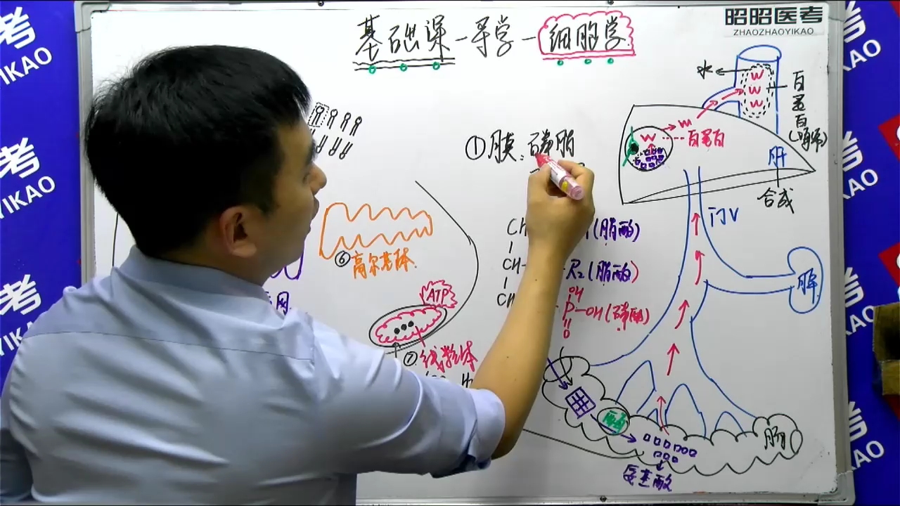 [图]病理学-00细胞学-基础课导学