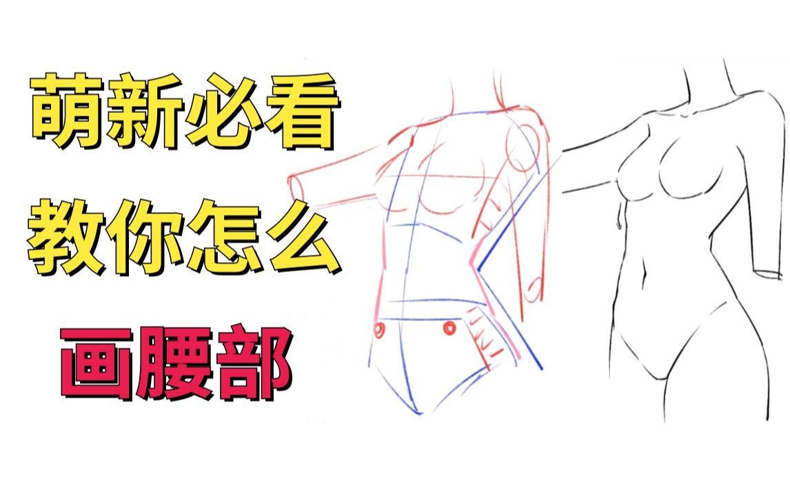 【板绘教程】人体干货!腰部画法的详细教学,轻松画出小蛮腰哔哩哔哩bilibili