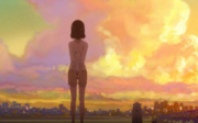 【夏先森】新海诚的温柔，她与她的猫，与他的爱