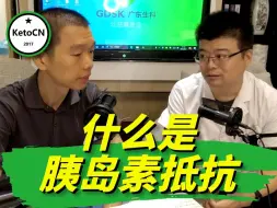 Descargar video: 什么是胰岛素抵抗 | KetoCN