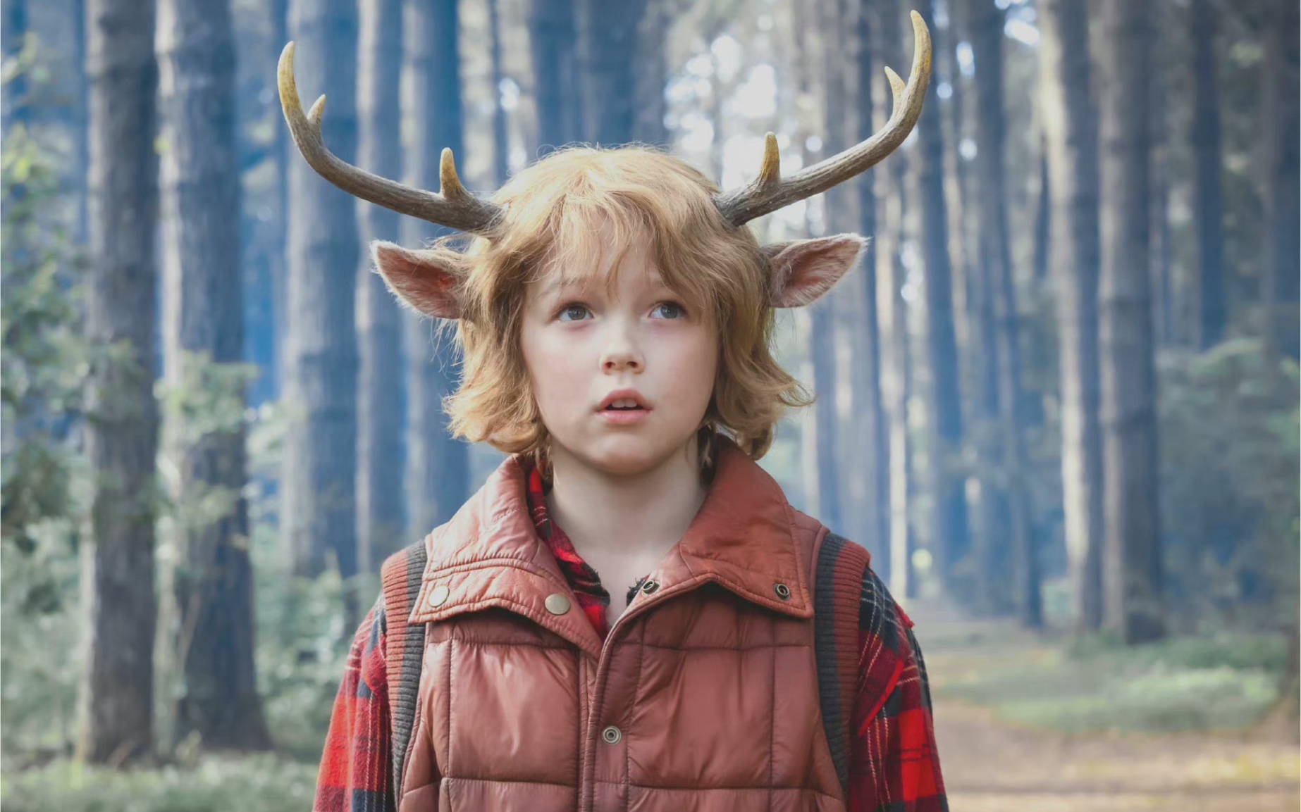 "为什么你没有染上疫疾?因为我爱吃麦片"——《鹿角男孩》