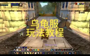 Download Video: 魔兽世界乌龟服玩法详细教程