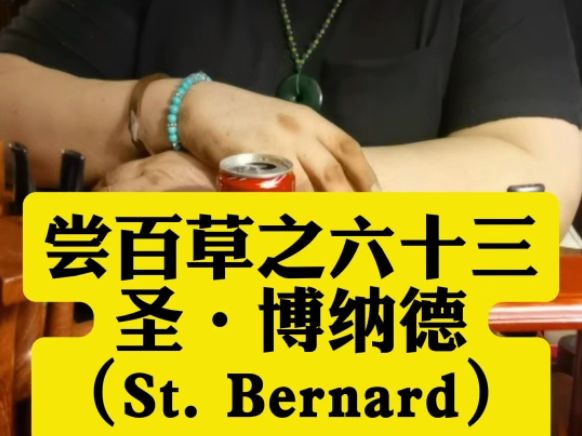 尝百草之六十三 圣.博纳德(St.Bernard)哔哩哔哩bilibili