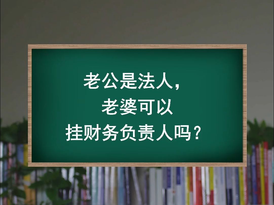 老公是法人,老婆可以挂财务负责人吗?哔哩哔哩bilibili