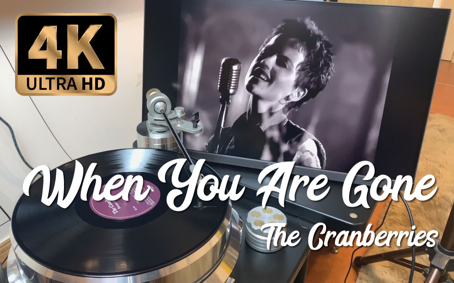 【4K黑胶试听】卡百利 小红莓 The Cranberries “When You Are Gone” 唱片欣赏(中英文歌词)哔哩哔哩bilibili