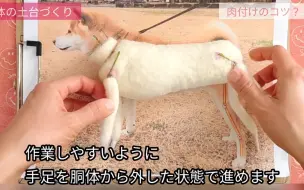 Download Video: 羊毛毡柴犬全身教程-骨架篇