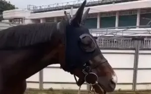 Скачать видео: 金枪六十：赢钱了，奢侈一把