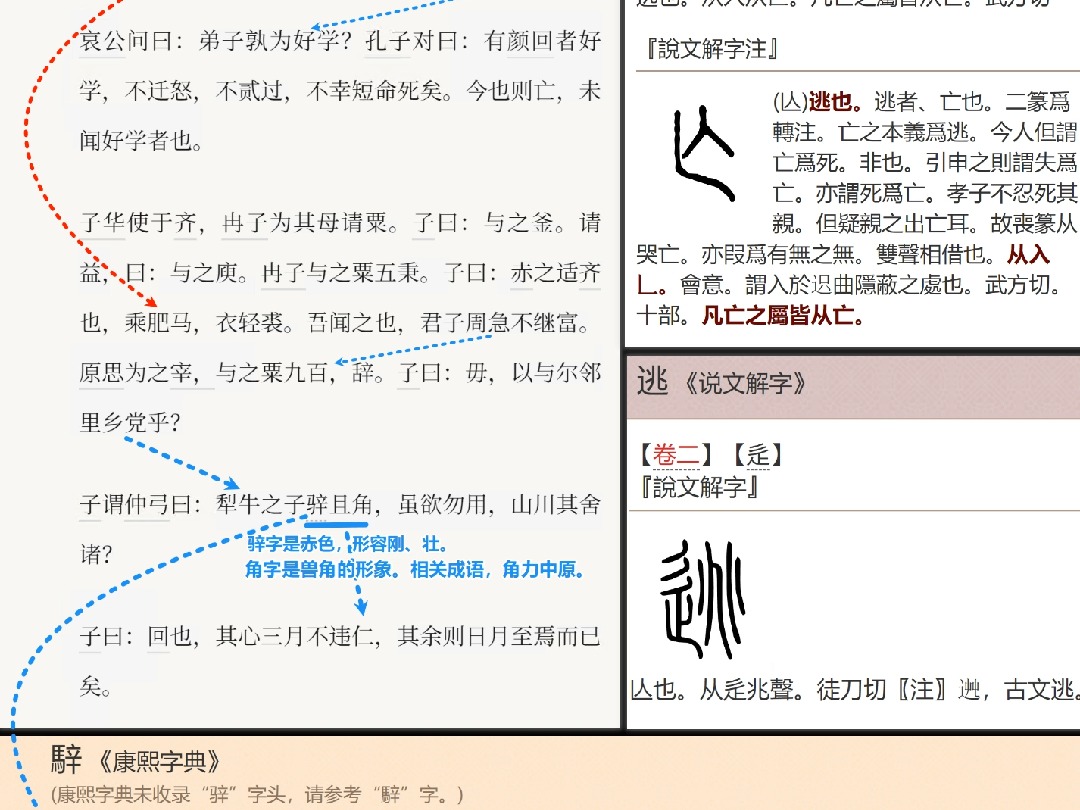 亡字是逃,入+𐠃Š.跑到天涯海角藏起来的形象.𐠃Š字是隐的古字.逃字是亡.辵+兆.兆字是裂痕的形象,跑断腿了都.以人为本位,好比如左右手....