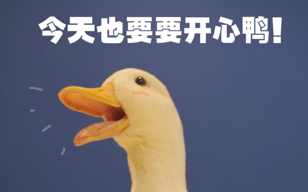 做人最重要的是要开心鸭!