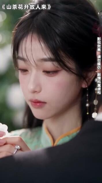 山茶花开故人来