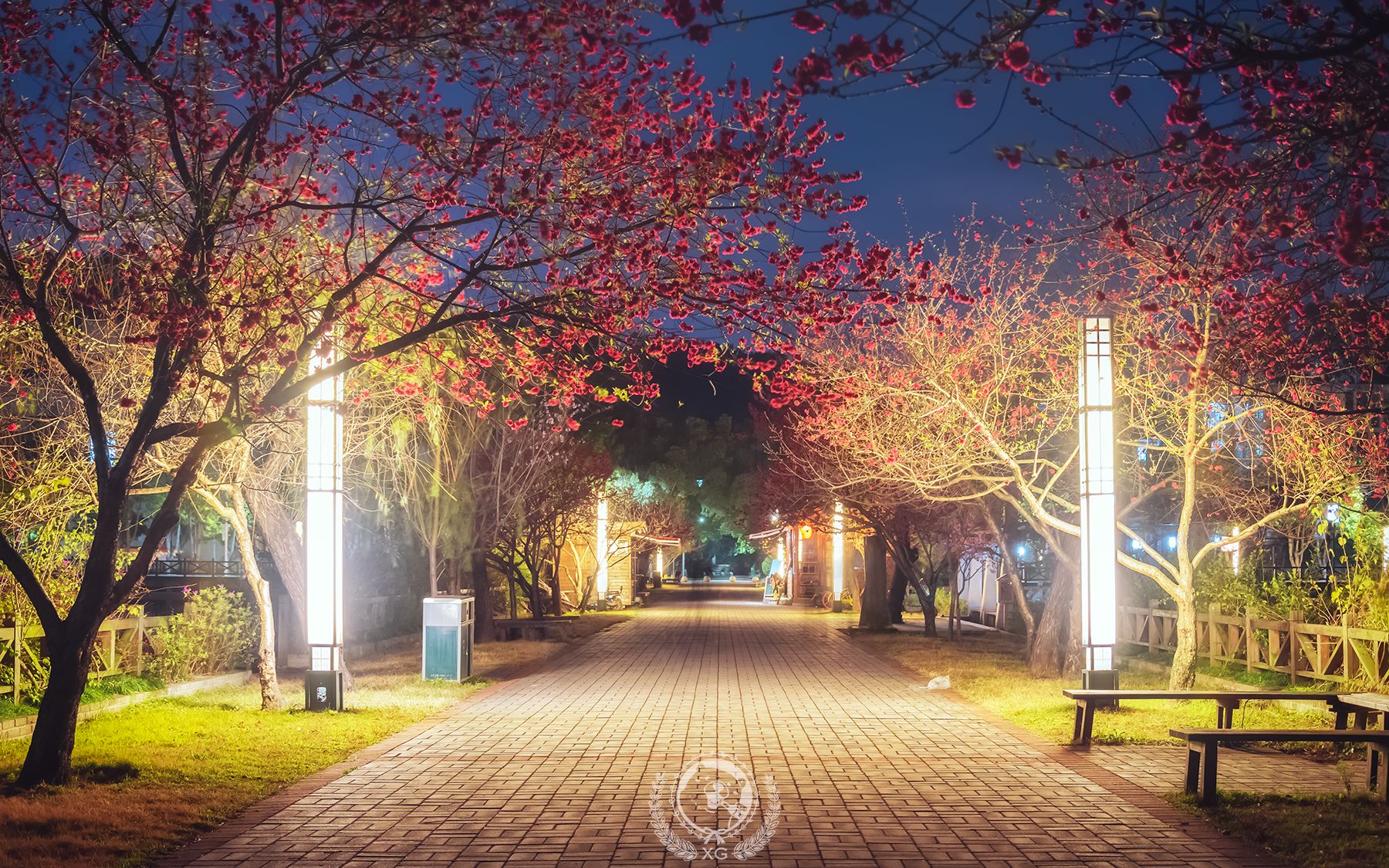 福建农林大学街景 校内风景  南门至拓荒广场哔哩哔哩bilibili