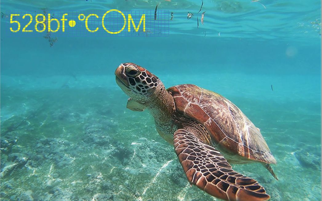 深海湛蓝_深海之蓝(pt)大美深海