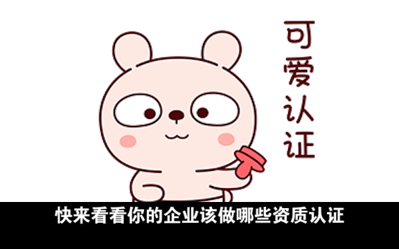 你的企业该做哪些资质认证?哔哩哔哩bilibili