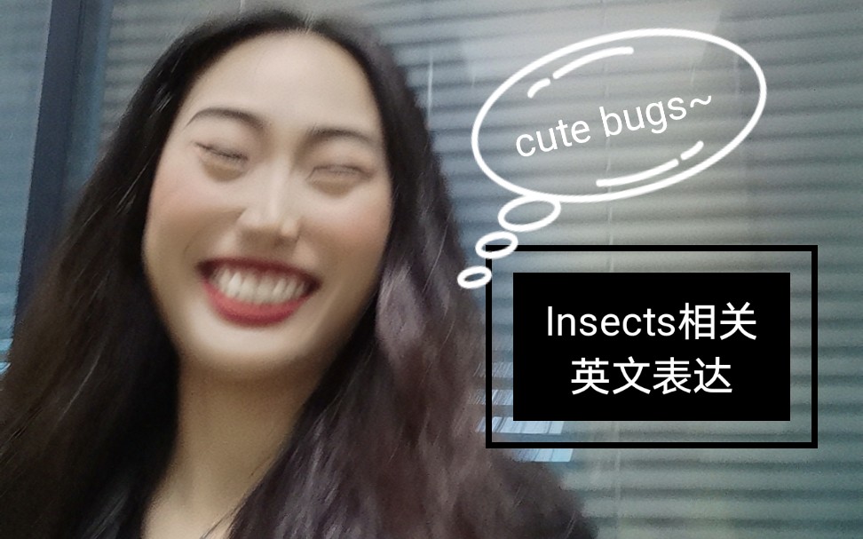 教学昆虫相关英语口语,insectrelated oral English 雅思口语话题适用 你们喜欢昆虫吗( 똢€⏉•똠)哔哩哔哩bilibili