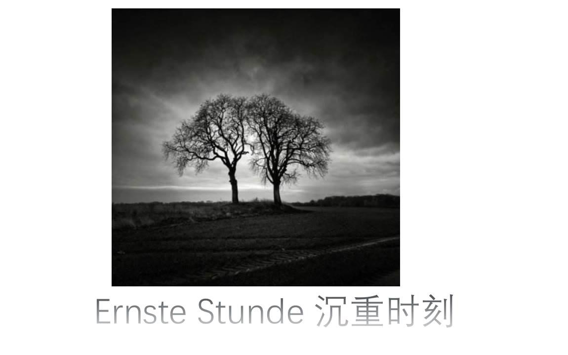 德语诗歌 Ernste Stunde沉重时刻哔哩哔哩bilibili