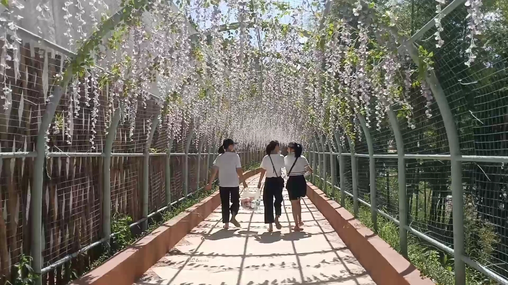 [图]被风吹过的那年夏天