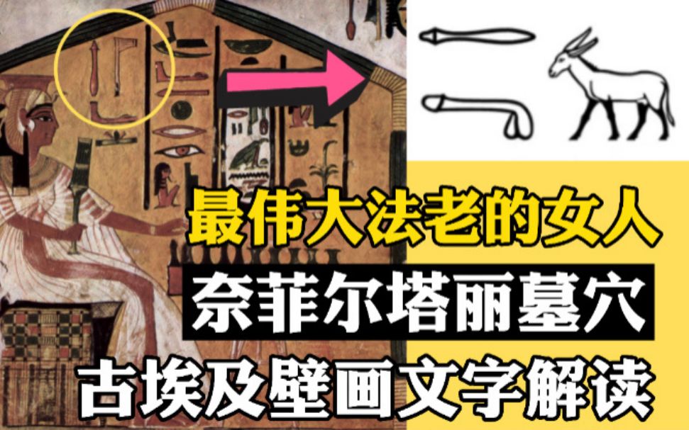 [图]你没看错，埃及皇后壁画里出现了个惊人器官~