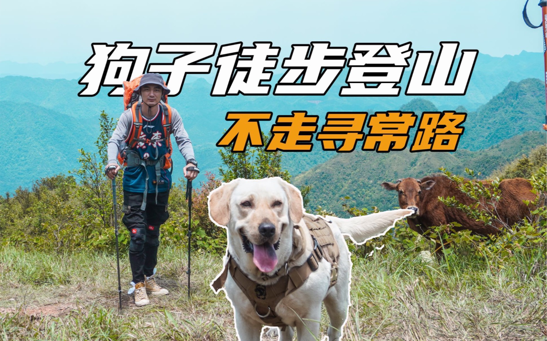 徒步登山日记|我们快变成野人野狗了,不走寻常路.哔哩哔哩bilibili